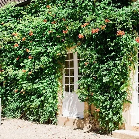 Exceptional Xviicastle In Dordogne Golden Triangle *